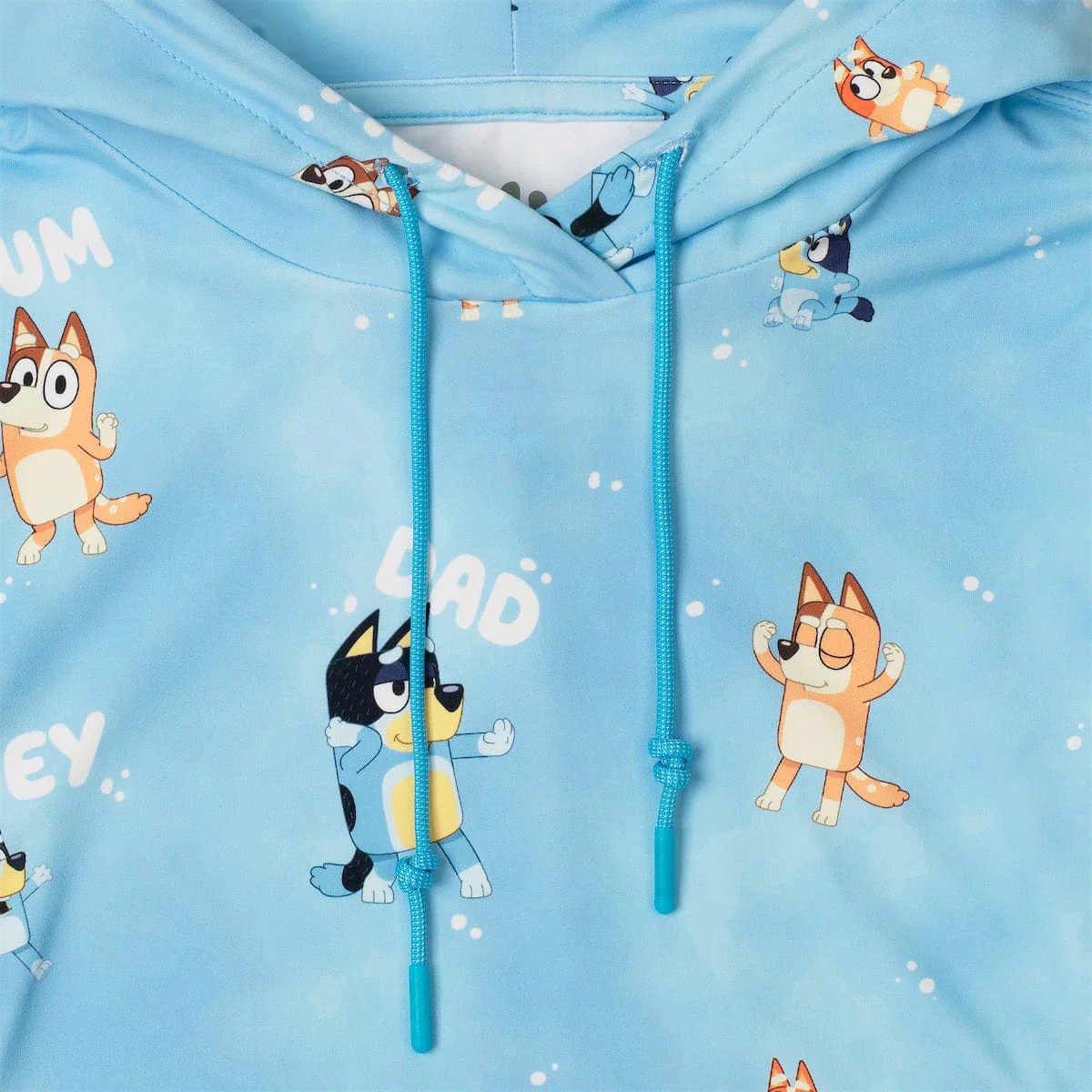 Bluey "Meet the Heelers" – Youth Performance Hoodie - Image 2