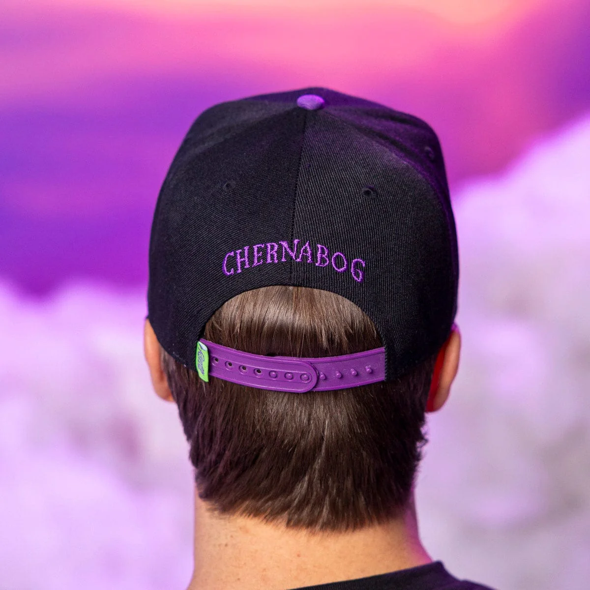 Disney’s Fantasia 85th Anniversary "Chernabog" – TLB Hat (Sloped) - Image 4