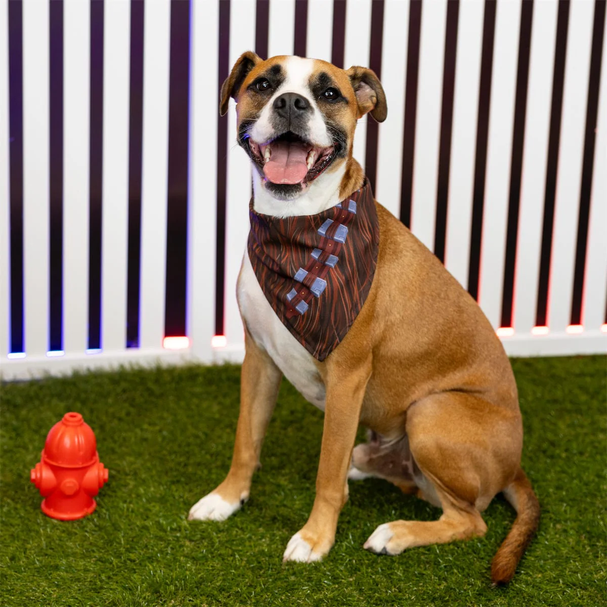 Star Wars™ "The Chewie" – Dog Bandana - Image 2