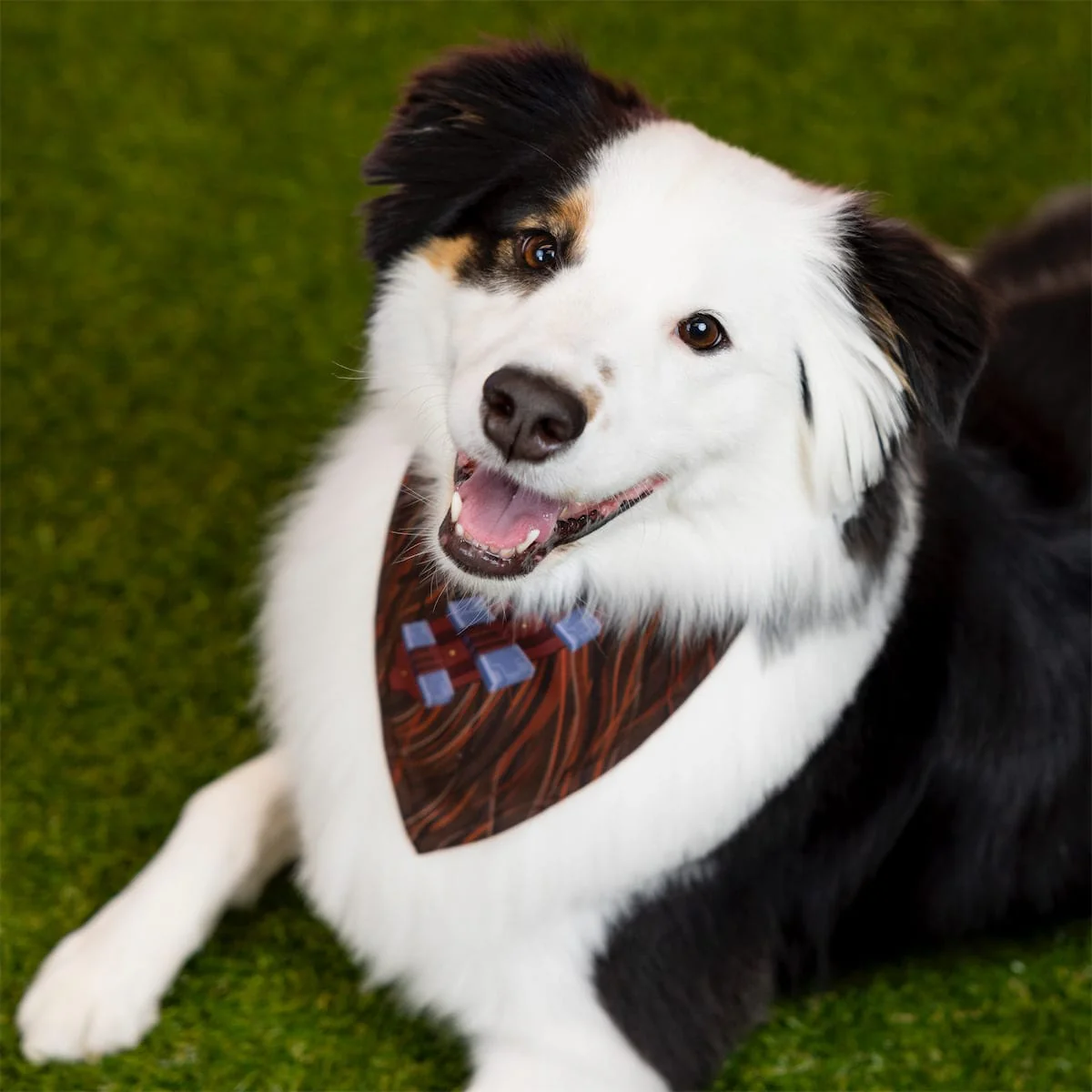 Star Wars™ "The Chewie" – Dog Bandana - Image 4